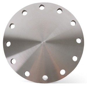 Edelstahl geschmiedeter säurebeständig Blindflansch DN200 219.1 mm PN16 (EN1092-1/05A) aus V2A Edelstahl 1.4541 / 321